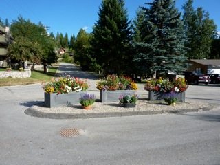 This image has an empty alt attribute; its file name is redwood-drive-flowers.jpg